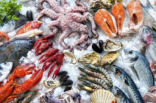 Những món ăn từ hải sản nhất định phải thử  khi đến du lịch biển Hải Hòa